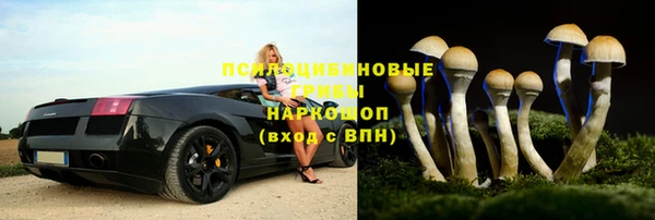 экстази Каменногорск