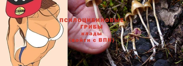 гидропоника Каменск-Шахтинский